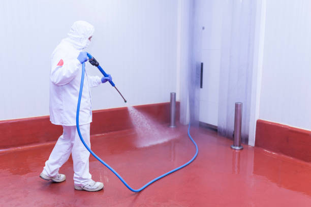 Hoquiam, WA Pressure Washing Services Company